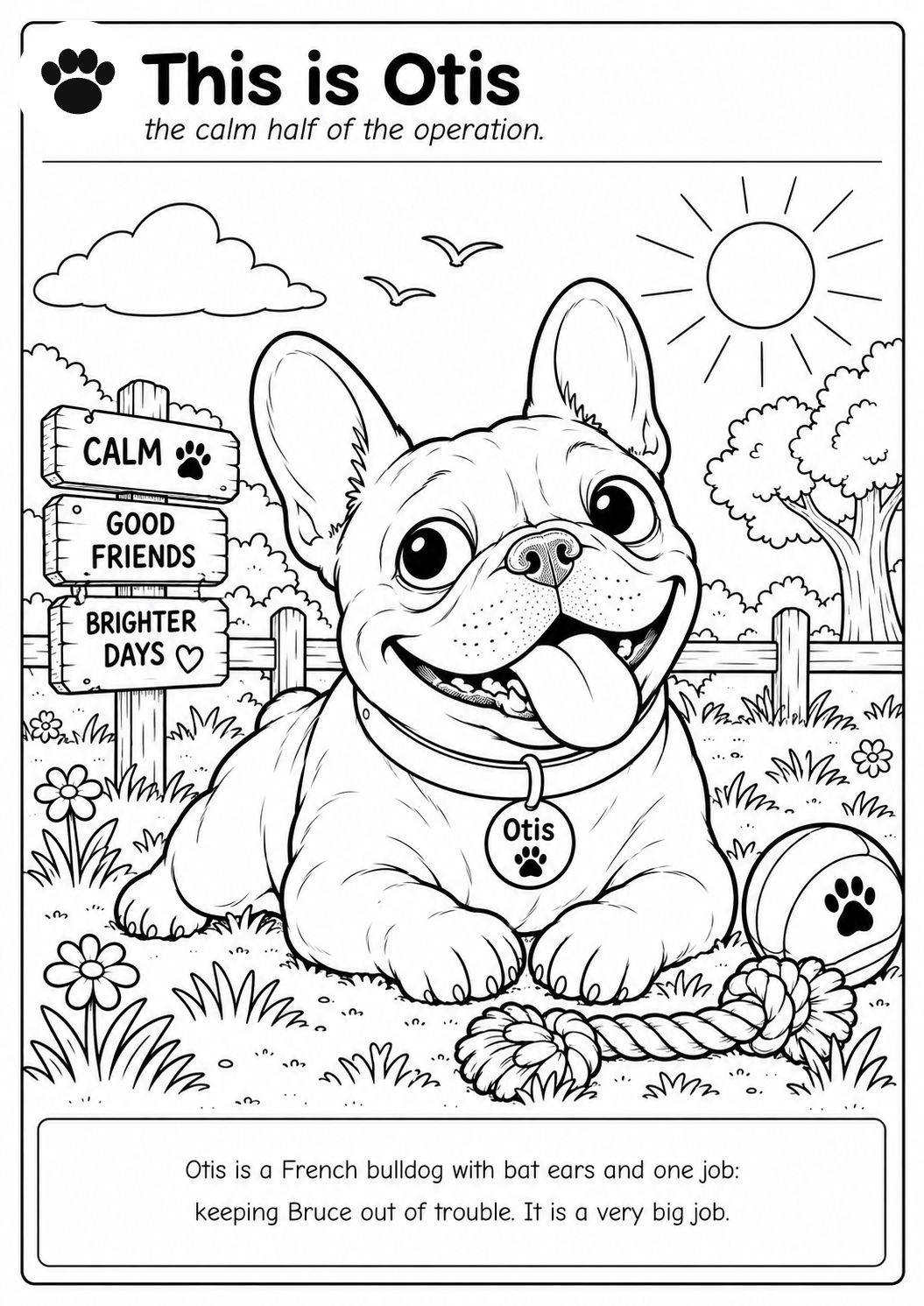 Colour in Otis