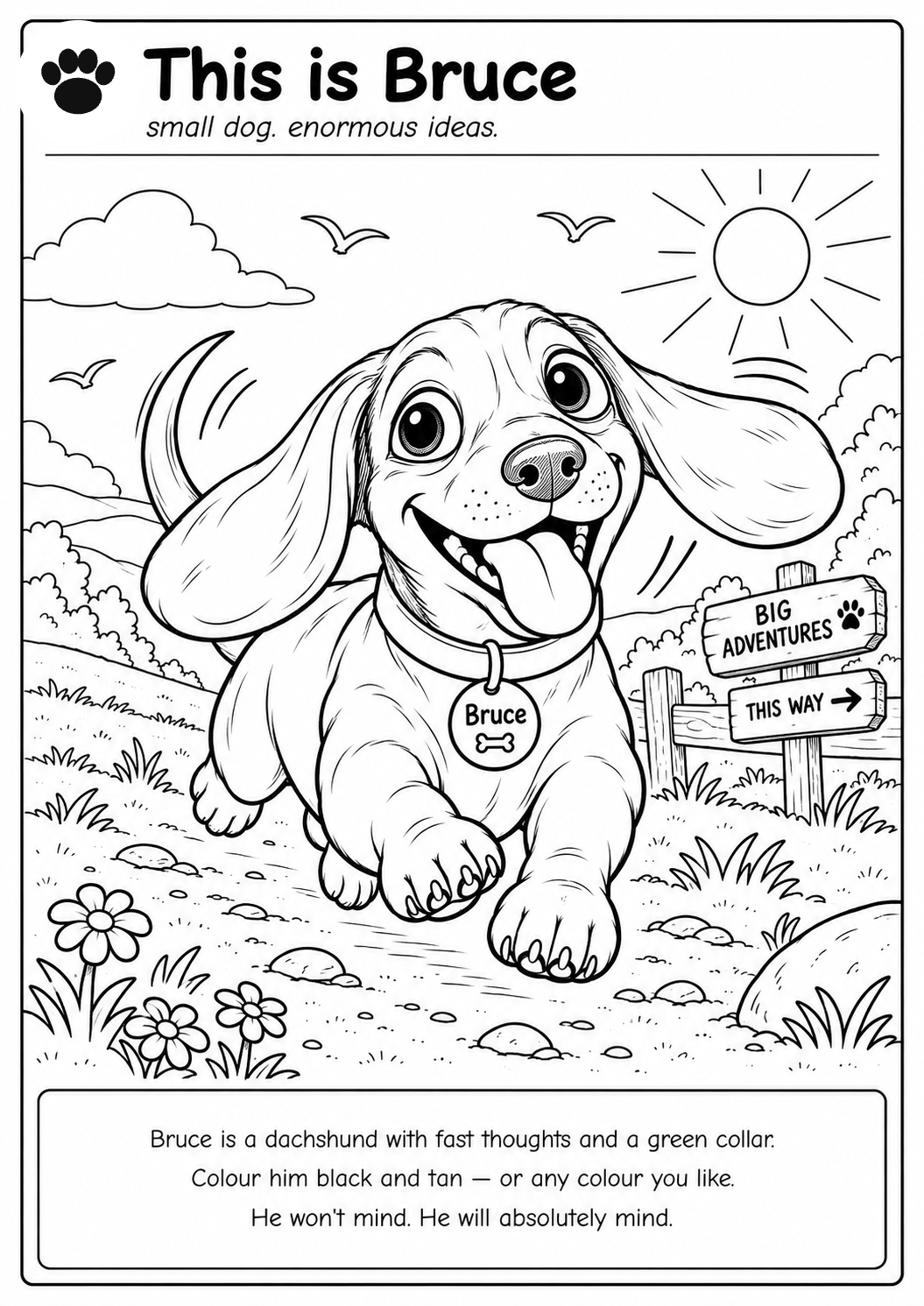 Bruce colouring page
